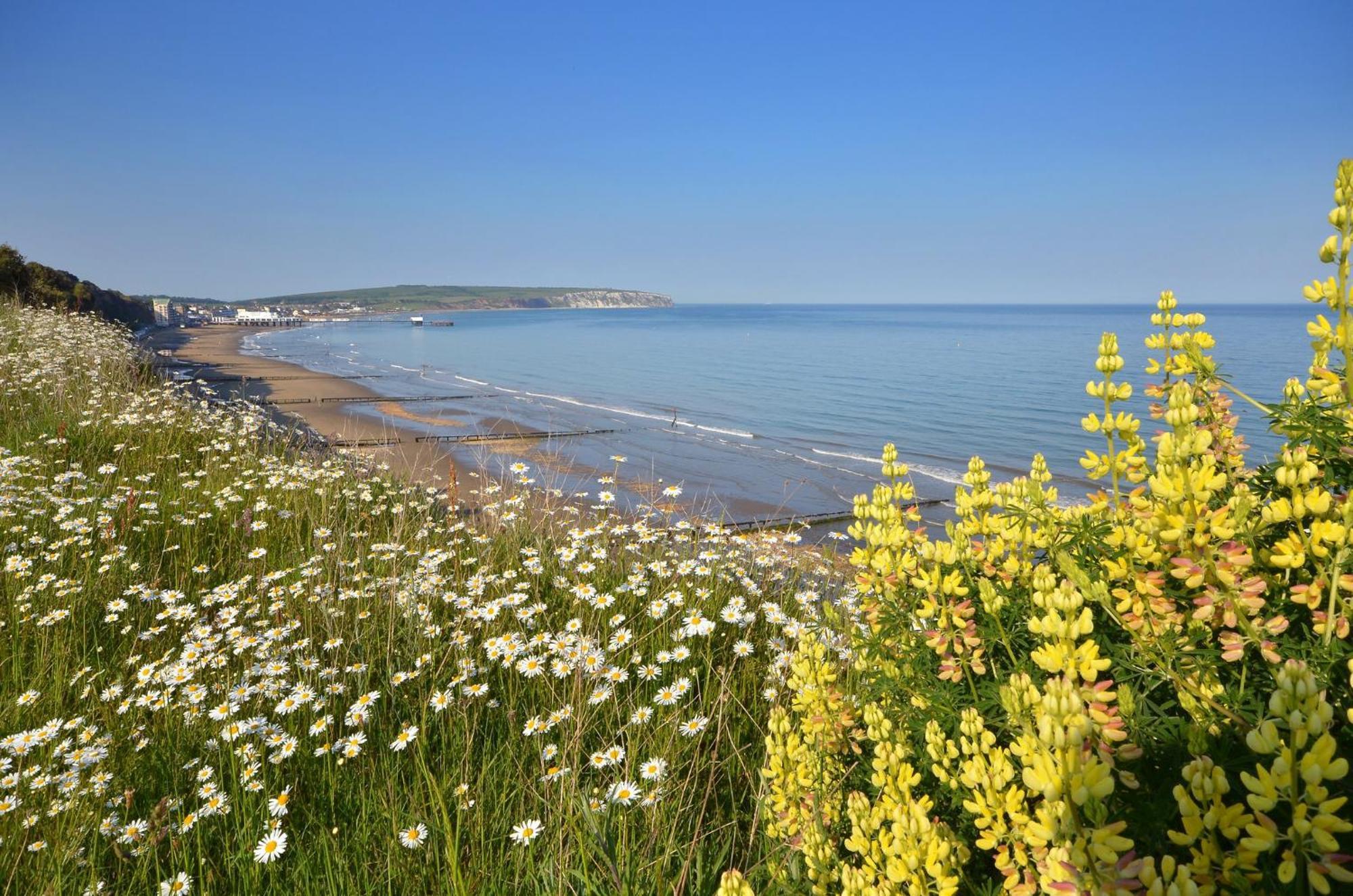 Villa The Haven - Isle Of Wight Sandown Exterior foto